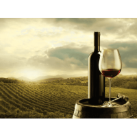 Vinho  (Seco)
